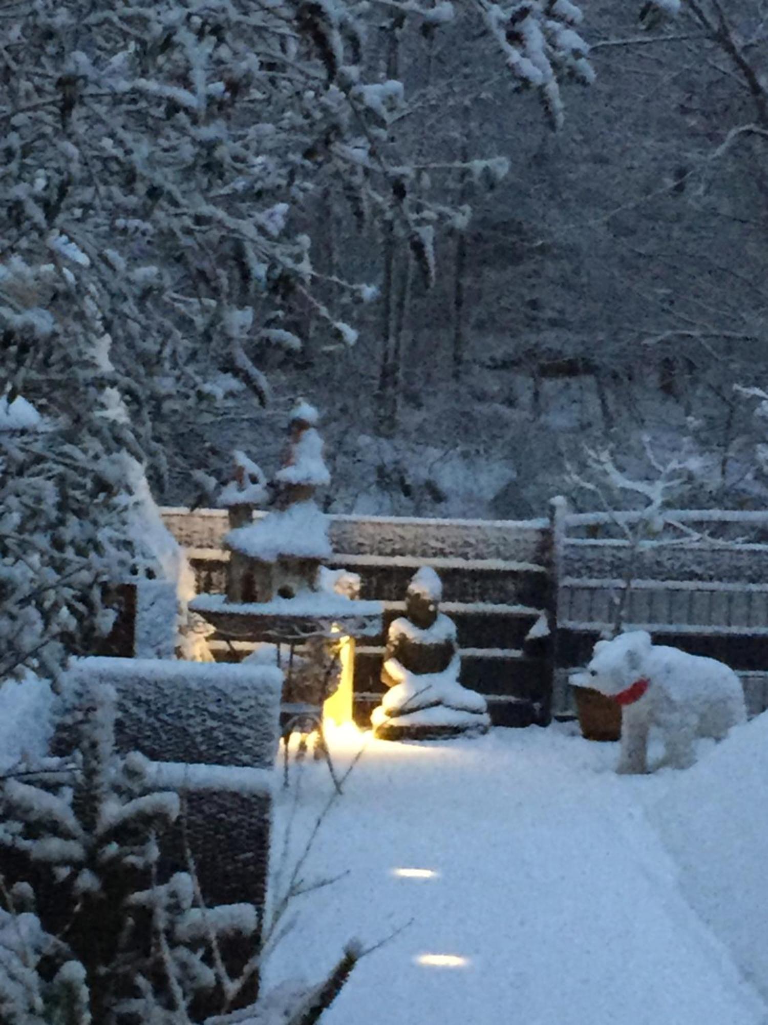 Ferienwohnung Im Morgenbachtal Trechtingshausen Esterno foto