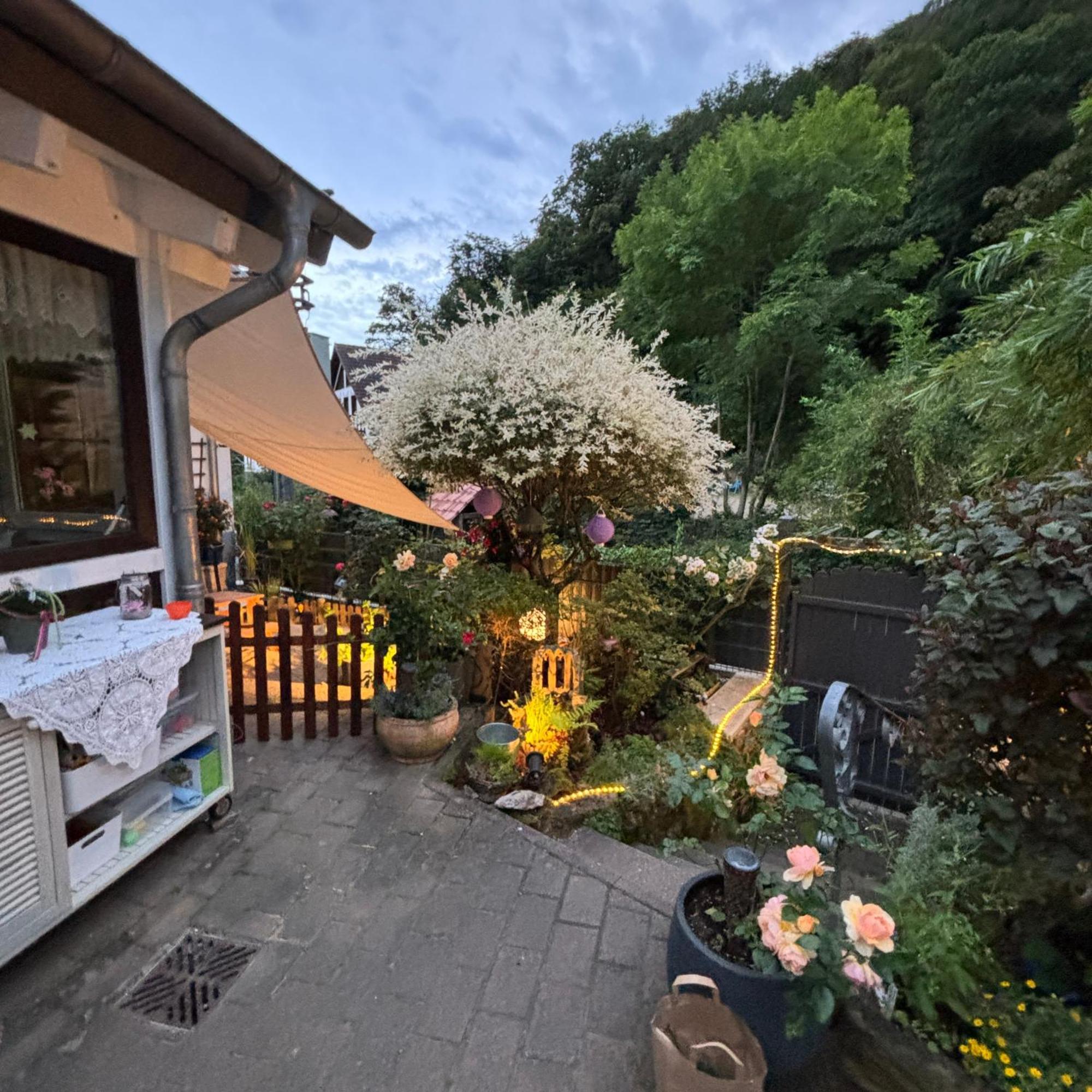 Ferienwohnung Im Morgenbachtal Trechtingshausen Esterno foto