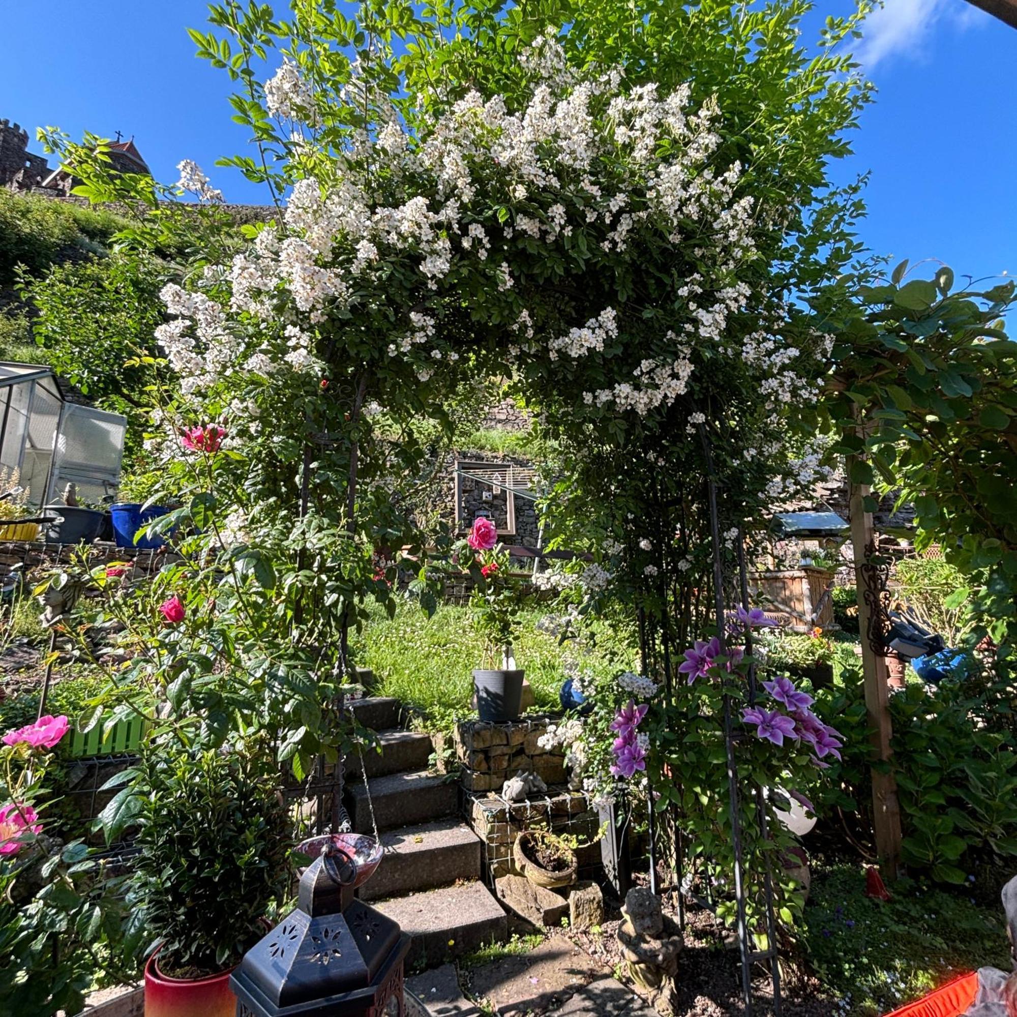 Ferienwohnung Im Morgenbachtal Trechtingshausen Esterno foto