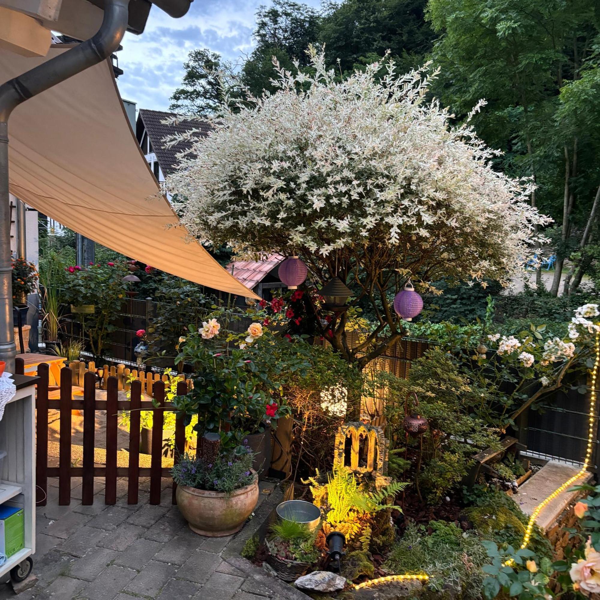 Ferienwohnung Im Morgenbachtal Trechtingshausen Esterno foto