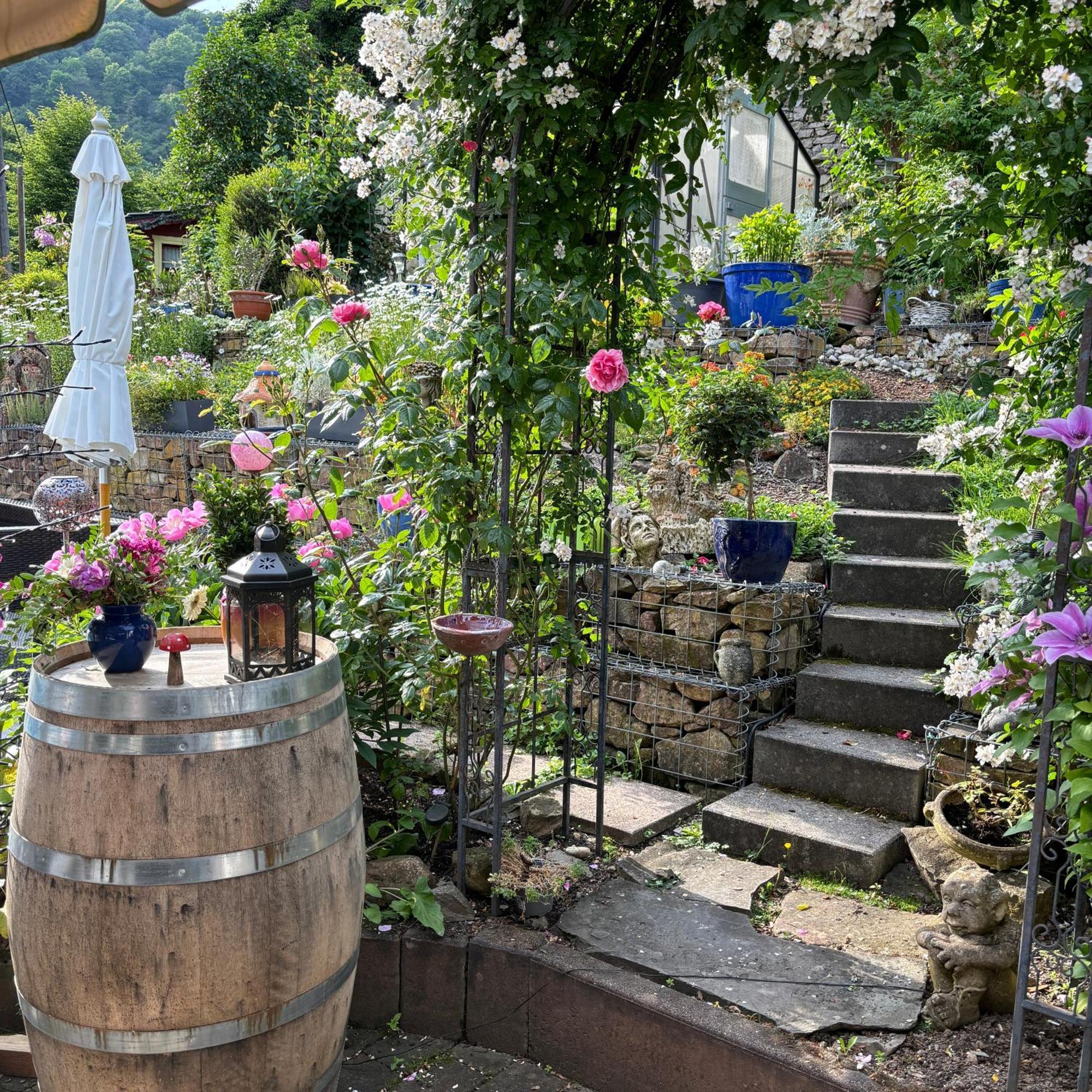 Ferienwohnung Im Morgenbachtal Trechtingshausen Esterno foto