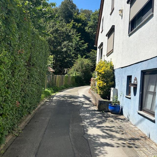 Ferienwohnung Im Morgenbachtal Trechtingshausen Esterno foto