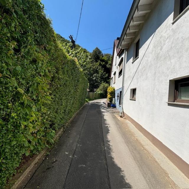 Ferienwohnung Im Morgenbachtal Trechtingshausen Esterno foto